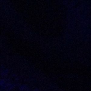 Meet your Posher, Elsy